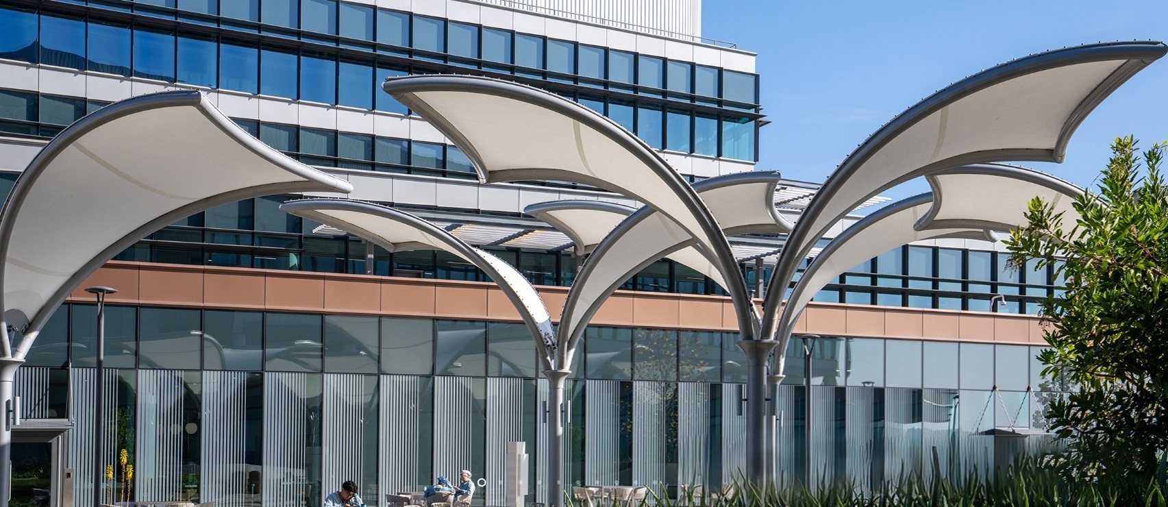 尔湾校区的膜结构与建筑美学实践(图1)